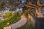 gallery view thumbnail