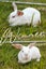 Excellent rabbit mother and babies Carousel 5
