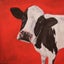 Dairy Cow, ready to hang boxed canvas print, 60cm x 60cm Carousel 1