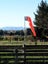 Galvanised Airport Windsock Frame with 13 inch Diameter Carousel 2