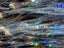 Loading Image 16 of 16