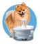 ZEUS FRESH & CLEAR DRINKING FOUNTAIN WATERFALL SPOUT 1.5 LITRE Carousel 1
