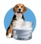 ZEUS FRESH & CLEAR DRINKING FOUNTAIN WITH SPLASHGUARD 1.5 LITRE Carousel 1