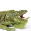 Safari Ltd Iguana Carousel 3