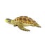 Loading Image 1 of 4