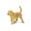 Safari Ltd Golden Retriever Puppy Carousel 4