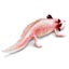 Safari Ltd Axolotl Toy Figure Carousel 5