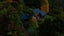 gallery view thumbnail