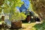 gallery view thumbnail