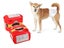Dog Diapers Carousel 3