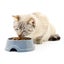 Bundle of 2 Kooky Kibble New Zealand Grain-Free Cat Food for All Life Stages 9kg Carousel 8