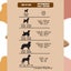 Bundle of 2 New Zealand Dog Food with Grains for Adult Dogs 12kg Carousel 3