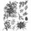 Loading Image 1 of 1