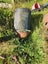 Force directional drill, plus water tanks & more Carousel 11