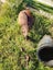 Force directional drill, plus water tanks & more Carousel 12