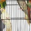 Open Top Metal Parrot Cage Bird Cage Carousel 7