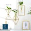NEW new planter Hanging baskets -Wall Hanging vase - G *Clearance* Carousel 5