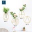 NEW new planter Hanging baskets -Wall Hanging vase - G *Clearance* Carousel 8