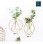 NEW new planter Hanging baskets -Wall Hanging vase - G *Clearance* Carousel 9