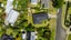 gallery view thumbnail
