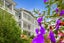 gallery view thumbnail