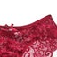 Womens Lace Half Back Coverage Panties - 3 Pack Carousel 2
