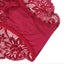 Womens Lace Half Back Coverage Panties - 3 Pack Carousel 5