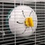 2 Hamster Running Spinner Wheel Plastic Pet Exercise Silent Running Spinner W Carousel 3