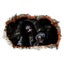 Loading Image 1 of 5