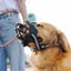 Plastic Adjustable Dog Mouth m Reflective Black Soft Rubber Safety Basket Carousel 4