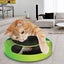 Turntable Electric Funny Cat Pet Toy, Cat Interactive Toy Carousel 2