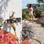 4-way Distributor 4-way Splitter garden Hose Distributor adjustable And Lockab Carousel 5