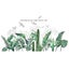 Plant Green Leaf Wall Stickers - Removable Self-adhesive Decor For Living Room A Carousel 1