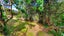 gallery view thumbnail