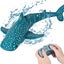 Animal Water Toy 2.4ghz Rc Fish Boat Electric For Swimming Pool Lake Remote Co Carousel 1