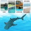 Animal Water Toy 2.4ghz Rc Fish Boat Electric For Swimming Pool Lake Remote Co Carousel 2