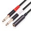 Adapter Cable 0.3m 6.35mm 1 4 Inch Stereo Trs Female To Dual 6.35mm Mono Ts Carousel 2