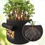 3 Pack Potato Grow Bags potato Planting Bag Vegetable Grow Bags Potato Planter Carousel 2