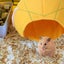 Pineapple Hammock Soft Hamster House Bed Small Animals Hamster Hanging House C Carousel 4