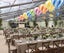 Hanging Hot Air Balloon Paper Lanterns Set, Party Decoration Birthday Wedding Ch Carousel 4