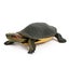 Animal Model Simulation Tortoise Desktop Ornament Kid Present Educational Mode Carousel 1