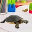 Animal Model Simulation Tortoise Desktop Ornament Kid Present Educational Mode Carousel 2