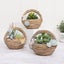 Succulent Planter Simulation Bamboo Basket Flowerpot Plant Pot Resin Vase Contai Carousel 4