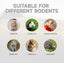 Hamster Toys Motorcycle Guinea Pig Toys Small Animal Toys For Dwarf Syrian Ham Carousel 4