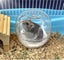 Hamster Bath Transparent Plastic Hamster Toilet Large Pet Bath Containing Sa Carousel 3