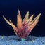 1 Piece 7.08" Artificial Aquarium Plant Decoration - Realistic Fish Tank Carousel 5