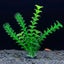 1 Piece 7.08" Artificial Aquarium Plant Decoration - Realistic Fish Tank Carousel 11