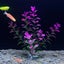 1 Piece 7.08" Artificial Aquarium Plant Decoration - Realistic Fish Tank Carousel 12