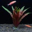 1 Piece 7.08" Artificial Aquarium Plant Decoration - Realistic Fish Tank Carousel 14