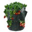 Loading Image 1 of 4